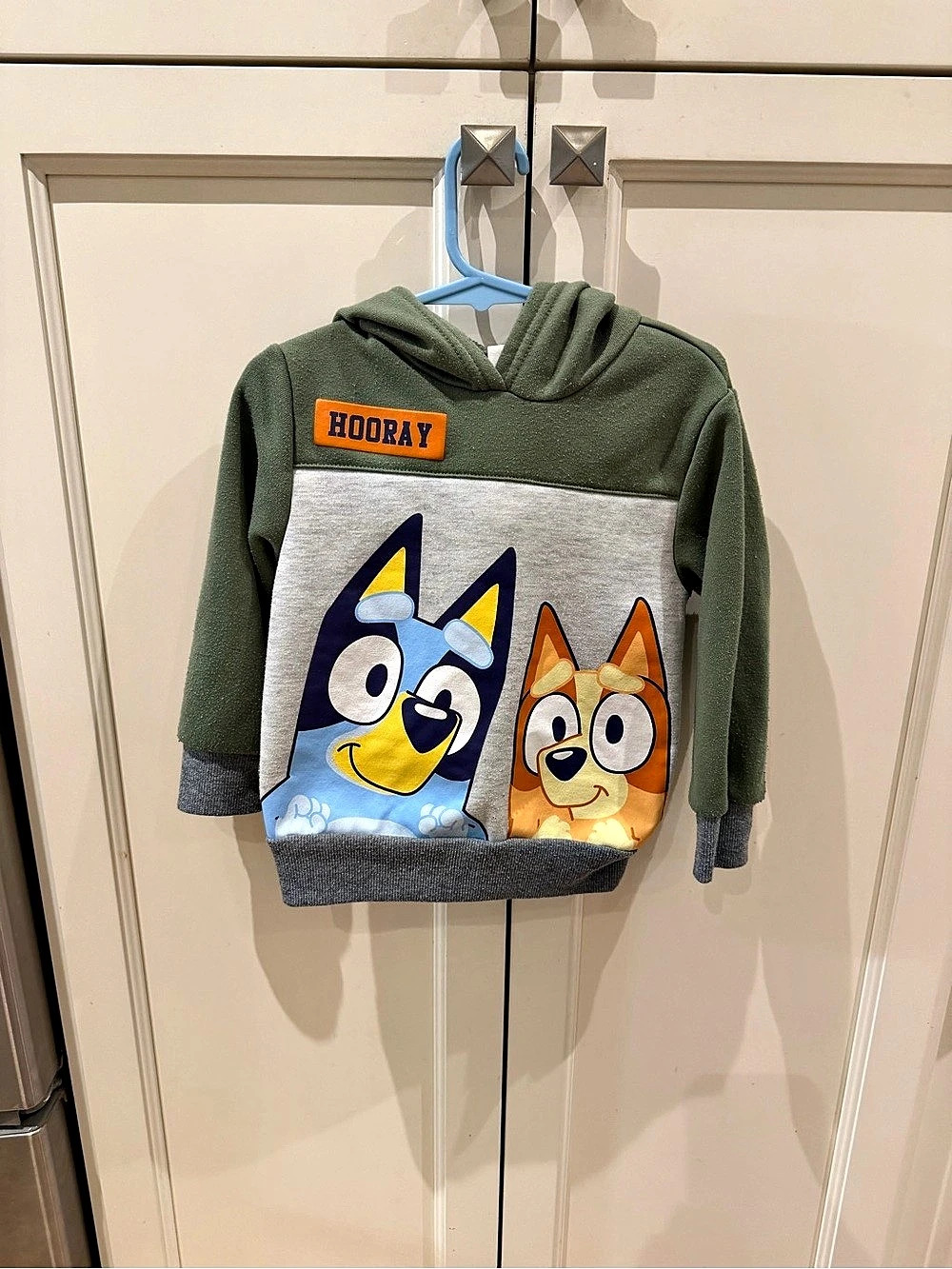 Bluey & Bingo Hooray Fleece Pullover Hoodie Green & Gray Boys 3T